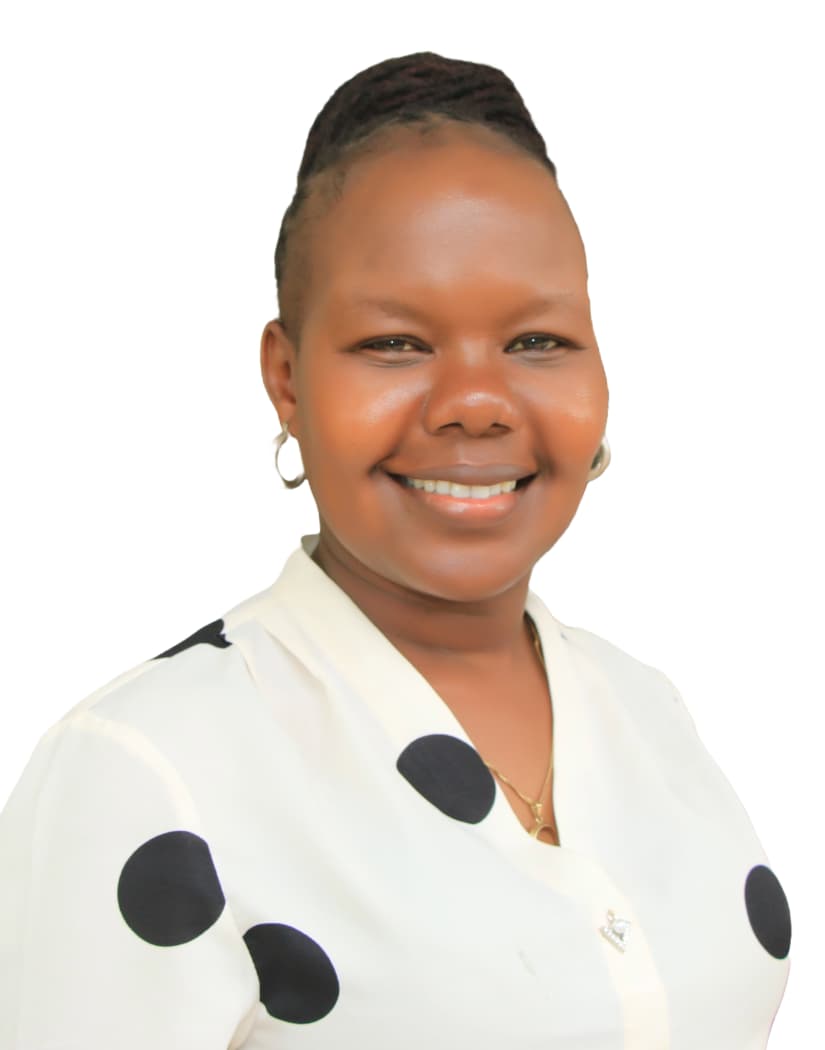 Chief Accountant